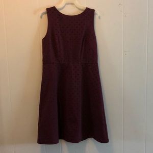 Maroon Dress | Loft